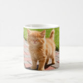 Little cute  orange cat  コーヒーマグカップ (中央)