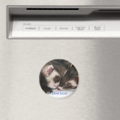 Little Dooks "Dook Love"マグネット マグネット (インサイチュ (食洗機))