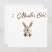 Little Forest Friends Baby Milestone Card –2 Month シーズンカード (正面/裏面)