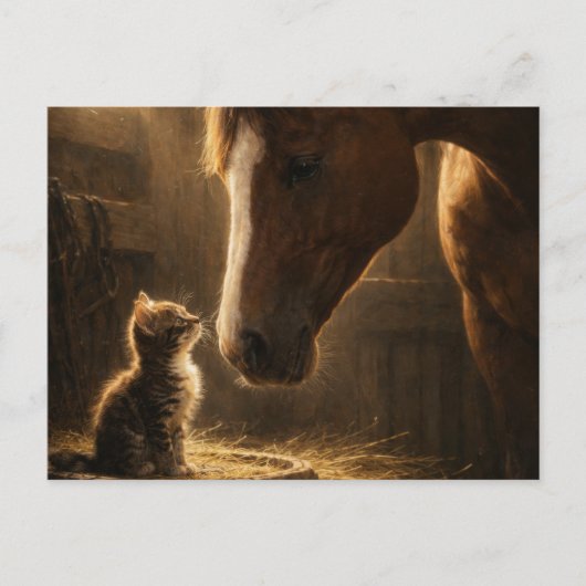 Little Friend | 馬と子猫 | ポストカード (正面)