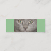 Little Gray Kittenプロファイルカード スキニー名刺 (裏面)