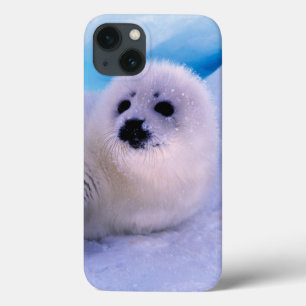 Little Harp Seal Pup Covered in Snowflakes iPhone 13ケース