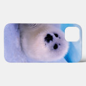 Little Harp Seal Pup Covered in Snowflakes Case-Mate iPhoneケース (裏面 (横))