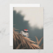 Little Jumping Spider on a Christmas Tree Cards シーズンカード (正面/裏面)
