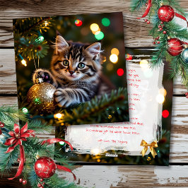 Little Kitten on Christmas Tree Personalized シーズンカード