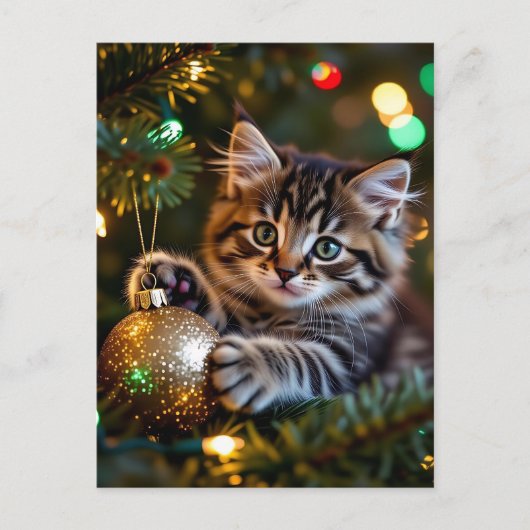 Little Kitten on Christmas Tree Personalized シーズンポストカード (正面)