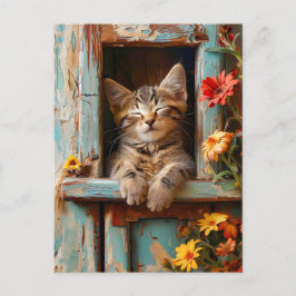 Little Kitten Sleeping in Garden Shed with Bloomin ポストカード