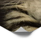 Little kitty ポスター (角)