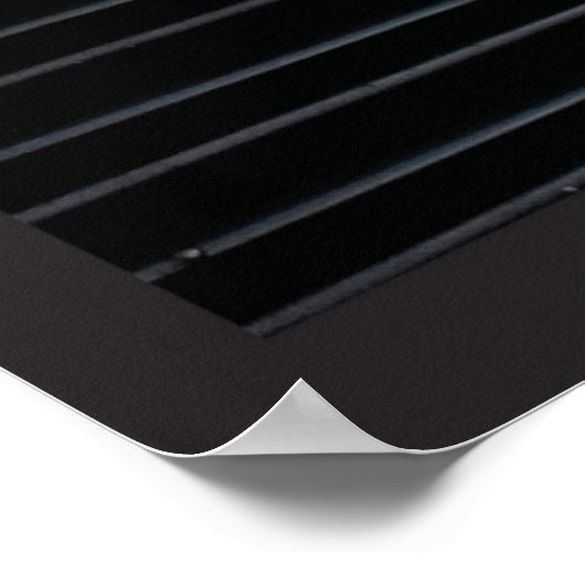 Little Miss Fantail ポスター (角)