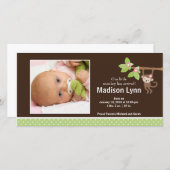 Little Monkey Baby Girl写真のお知らせ 案内状 (正面/裏面)