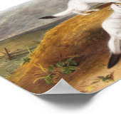 Little Nimble Weasel Putorius agilis Illustration ポスター (角)