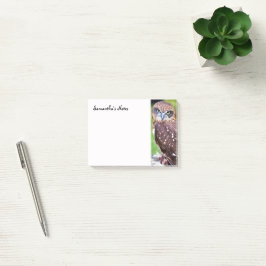 Little Owl Post-It Notes ポストイット (オフィス)