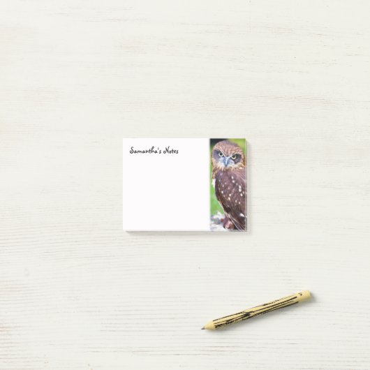 Little Owl Post-It Notes ポストイット (デスク上)