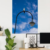 Little Pied Cormorant Perched on Streetlight ポスター (ホームオフィス)