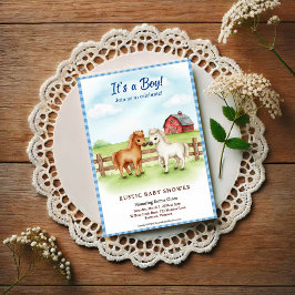 Little Pony Baby Boy Shower Gingham Invitation 招待状