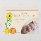 Little Pumpkin Birthの発表 案内状 (正面/裏面)