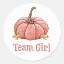 Little Pumpkin Gender Team女の子がシールを明かす