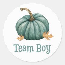 Little Pumpkin Gender Team少年がステッカーを明かす