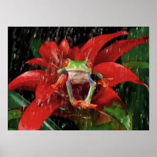 Little_Rain_(4) ポスター (正面)