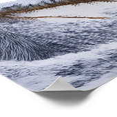 Little Robin bird ポスター (角)