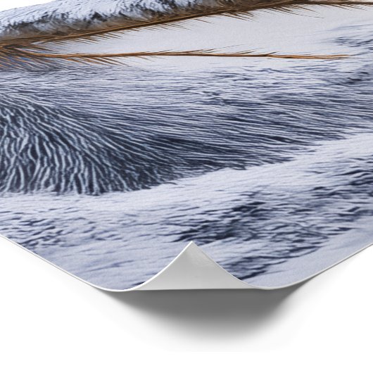 Little Robin bird ポスター (角)