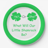 Little Shamrockジェンダーの発表 ペーパープレート (正面)