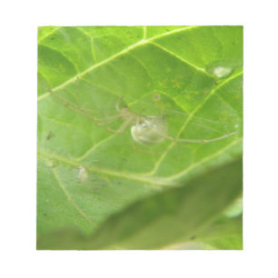 Little Spiderメモ帳 ノートパッド