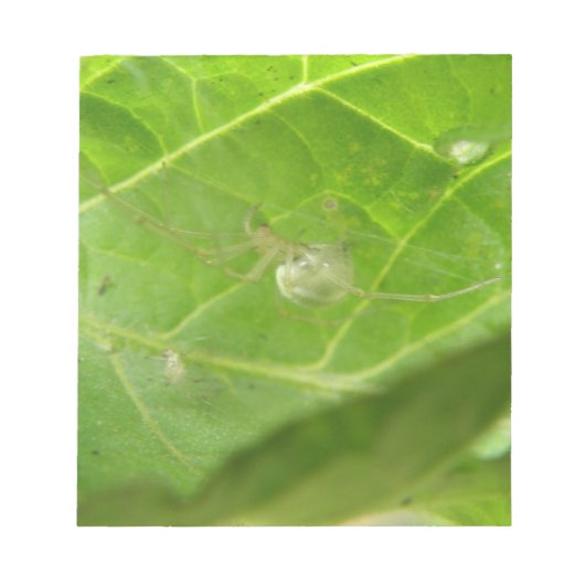 Little Spiderメモ帳 ノートパッド (正面)