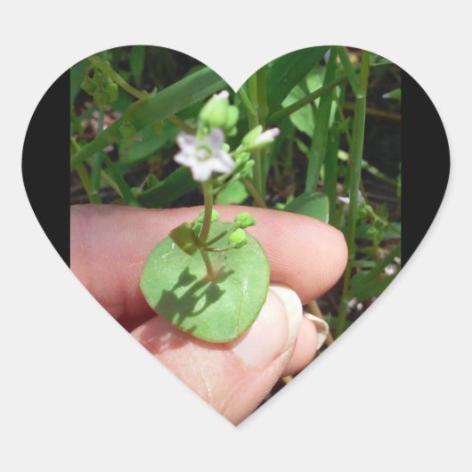 Little Thingsハート型ステッカー ハートシール (正面)