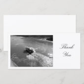 Little Trawler – ありがとう サンキューカード (正面/裏面)