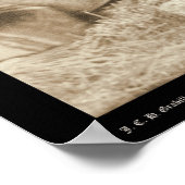 Little, Wearing Headdress at Wounded Knee SD 1890 ポスター (角)