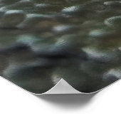 Little White Frogfish ポスター (角)