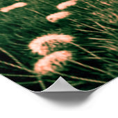 Little Witch ポスター (角)