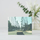 Little Yellow Car シーズンポストカード (スタンド正面)