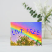 LIVE FREE RAINBOWはがき ポストカード (スタンド正面)