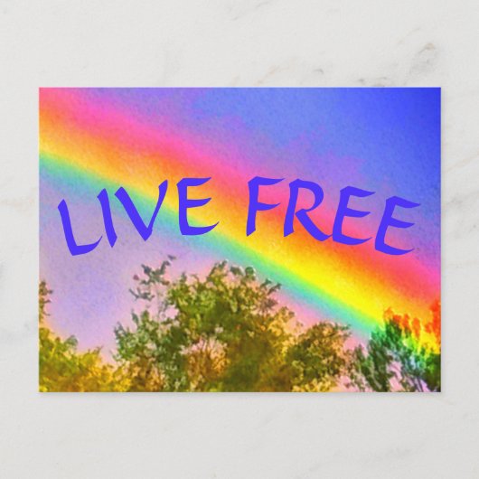 LIVE FREE RAINBOWはがき ポストカード (正面)