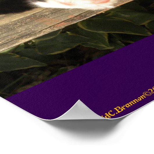 "Live Free", Smiler, cute, cat, gift ポスター (角)