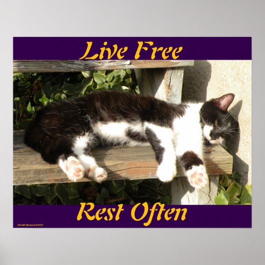 "Live Free", Smiler, cute, cat, gift ポスター (正面)
