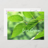 'Live Green'ポストカード ポストカード (正面/裏面)