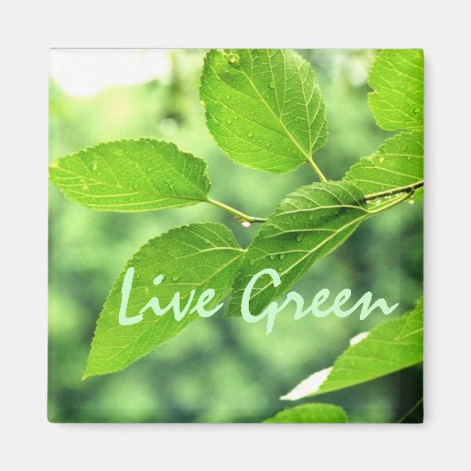 'Live Green'マグネット マグネット (正面)