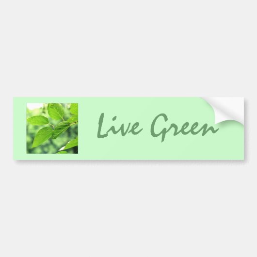 「Live Green」ステッカー バンパーステッカー (正面)