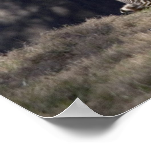 Live in the Moment Poster ポスター (角)