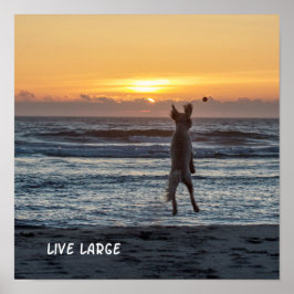 "Live Large"ビーチサンセットポスター(12" x 12") ポスター