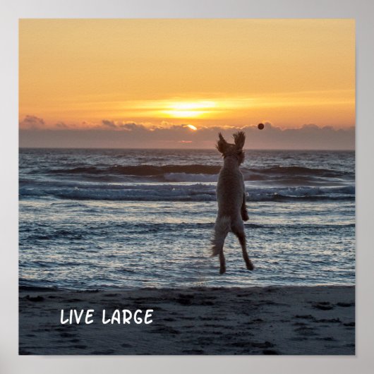 "Live Large"ビーチサンセットポスター(12" x 12") ポスター (正面)