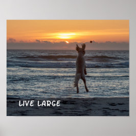 "Live Large"ビーチサンセットポスター(14" x 11") ポスター