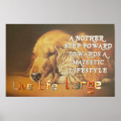 Live Life Largeは素敵な日の猫と犬の寄り添い ポスター (正面)