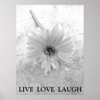Live Love Laugh Black and White Gerber Daisy ポスター