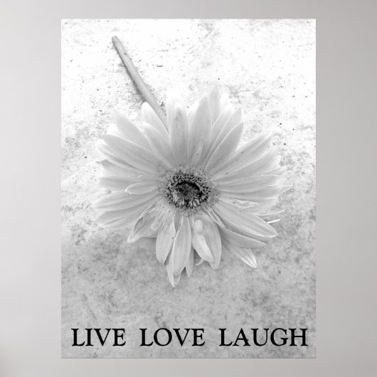 Live Love Laugh Black and White Gerber Daisy ポスター (正面)