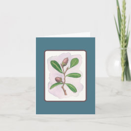 Live Oakカード：青と茶色 カード