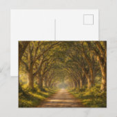 Live Oak Path | Landscape | Postcard ポストカード (正面/裏面)